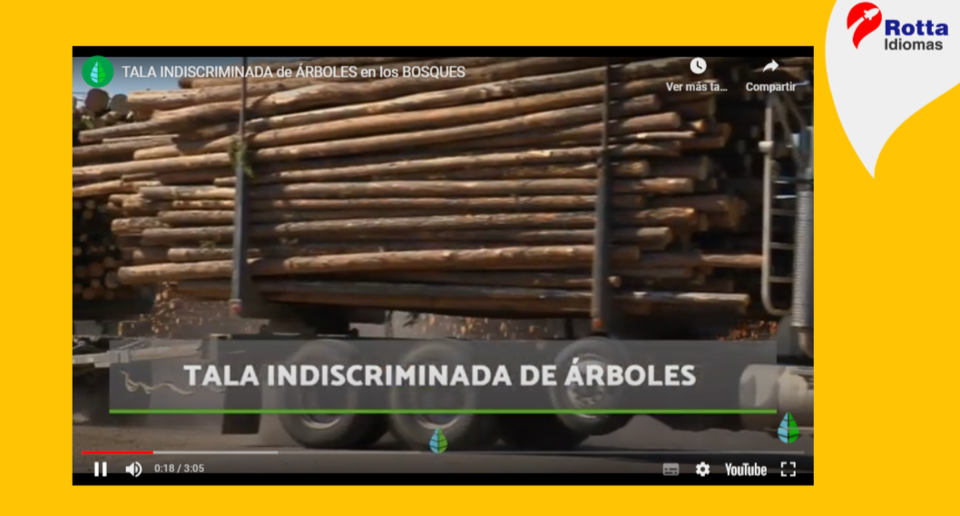 4 interativo